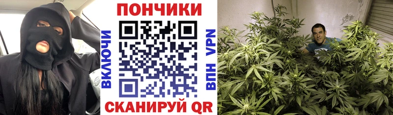 Купить наркоту Вихоревка Галлюциногенные грибы  СК  Мефедрон  ГАШ 