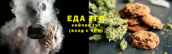 СК Бронницы