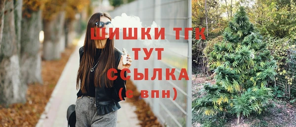 СК Бородино