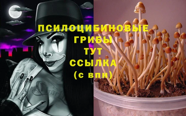 СК Бронницы