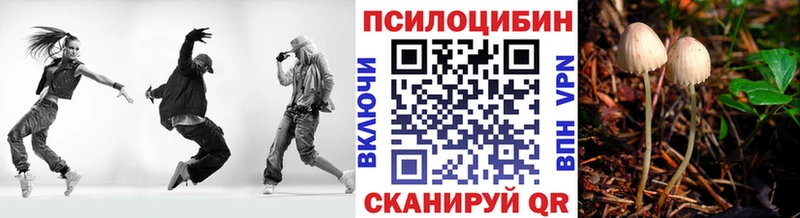 наркотики  Вихоревка  Псилоцибиновые грибы Psilocybine cubensis 